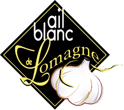 logo_ail_blanc